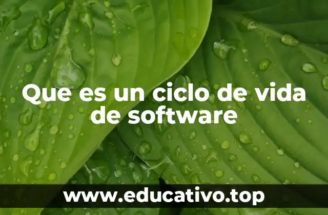 Que es un ciclo de vida de software