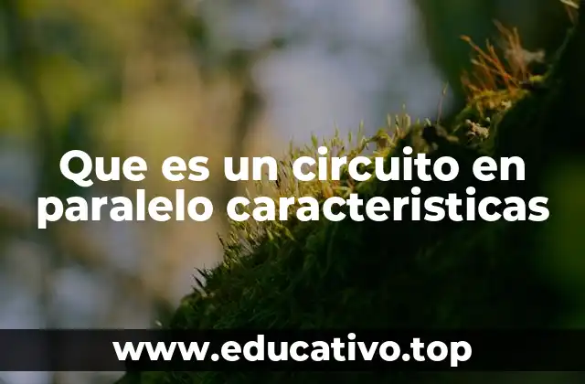Que es un circuito en paralelo caracteristicas