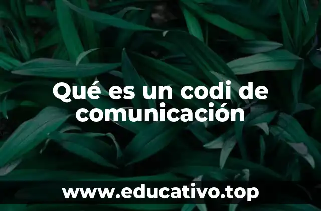Qué es un codi de comunicación