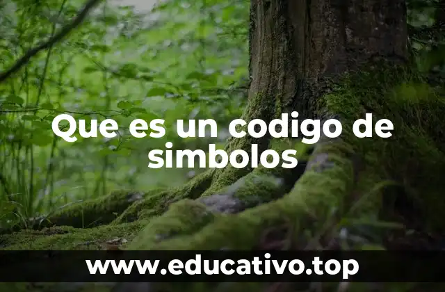 Que es un codigo de simbolos