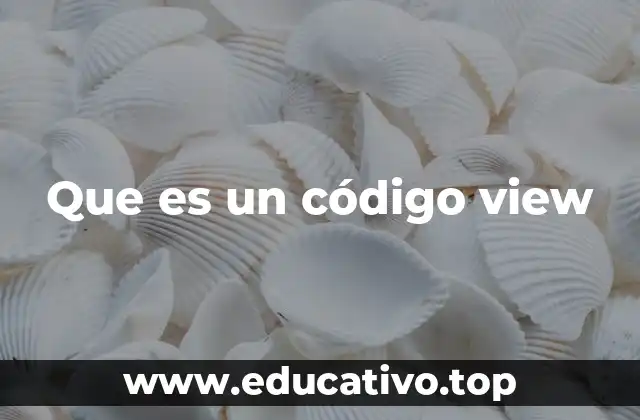 Que es un código view