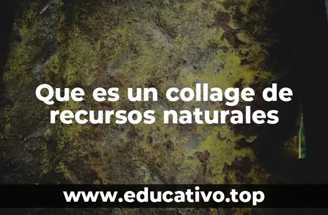 Que es un collage de recursos naturales