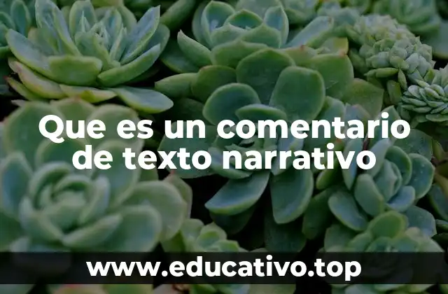 Que es un comentario de texto narrativo