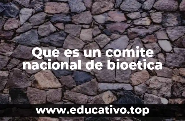 Que es un comite nacional de bioetica