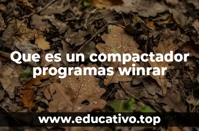 La importancia de los programas de compresión en la gestión digital