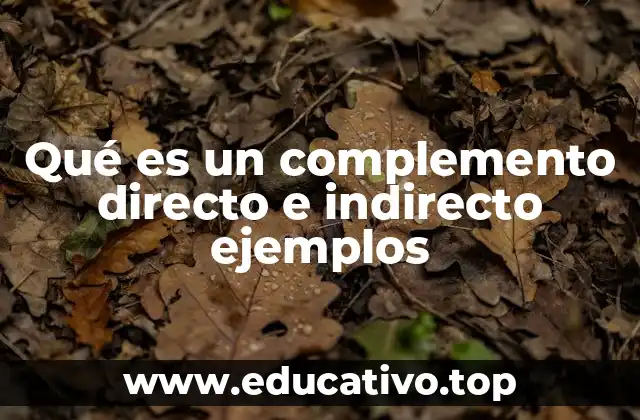 Qué es un complemento directo e indirecto ejemplos
