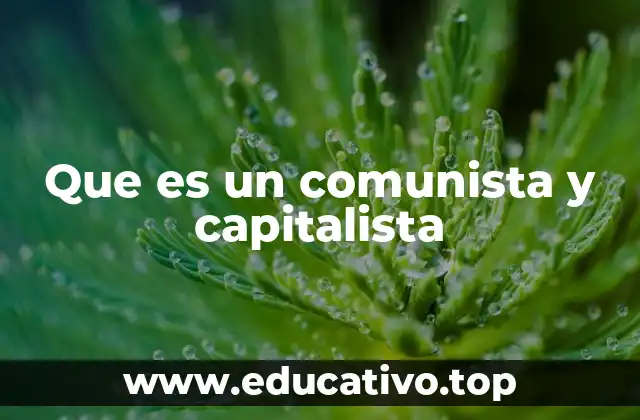 Que es un comunista y capitalista