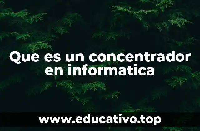 Que es un concentrador en informatica