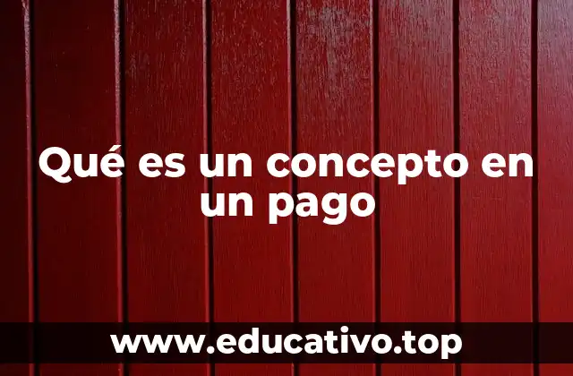 Qué es un concepto en un pago