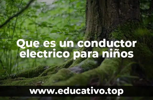 Que es un conductor electrico para niños