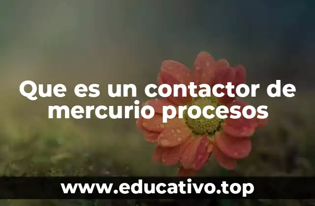 Componentes y funcionamiento de los contactores de mercurio