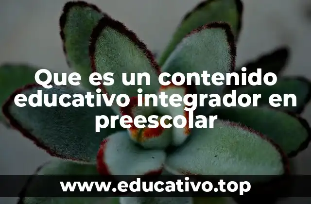 Que es un contenido educativo integrador en preescolar