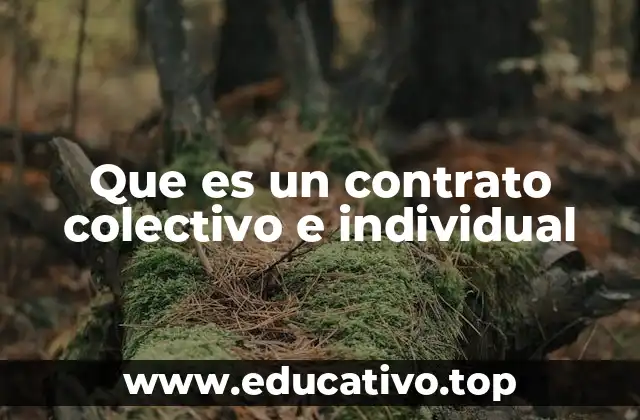 Que es un contrato colectivo e individual