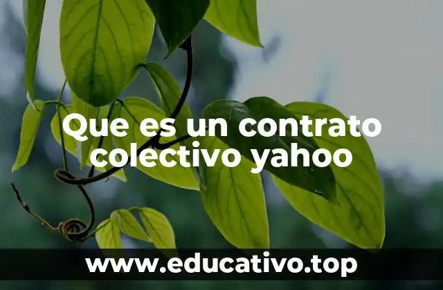 Que es un contrato colectivo yahoo