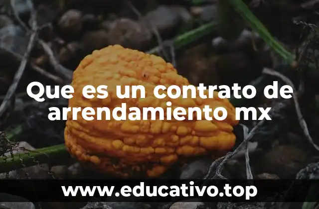 Que es un contrato de arrendamiento mx