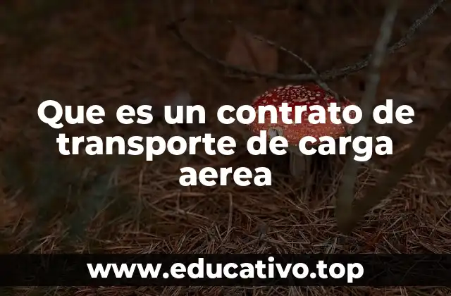 Que es un contrato de transporte de carga aerea