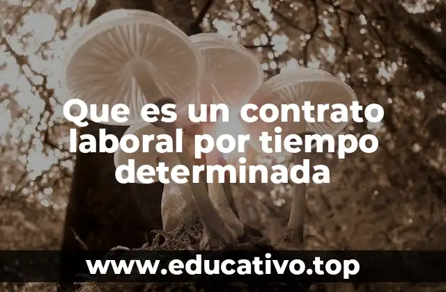 Que es un contrato laboral por tiempo determinada