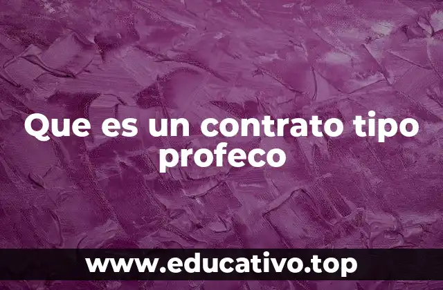 Que es un contrato tipo profeco