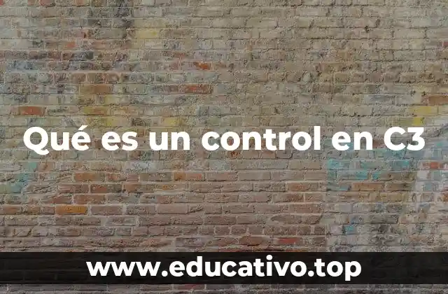 Qué es un control en C3