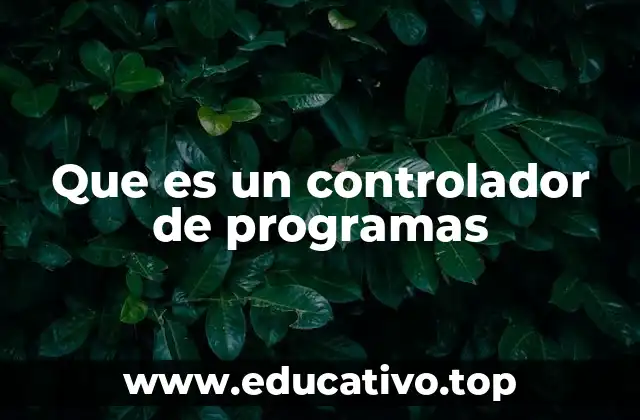 Que es un controlador de programas