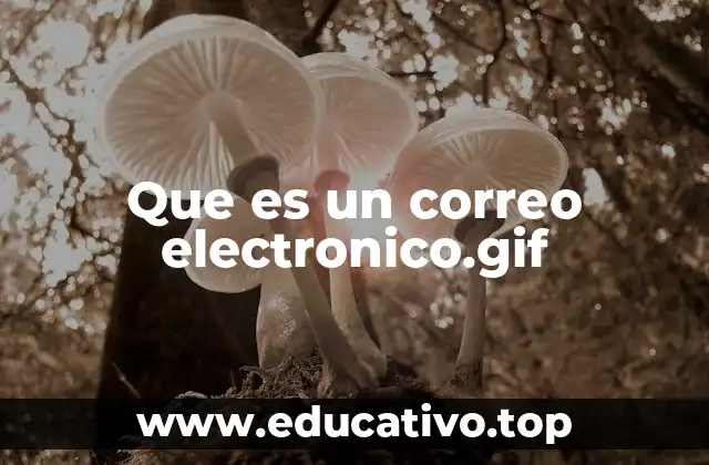 Que es un correo electronico.gif