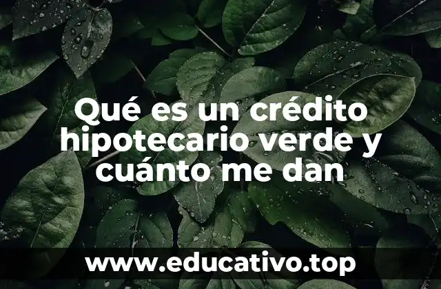 Cómo se diferencian los créditos hipotecarios verdes de los convencionales