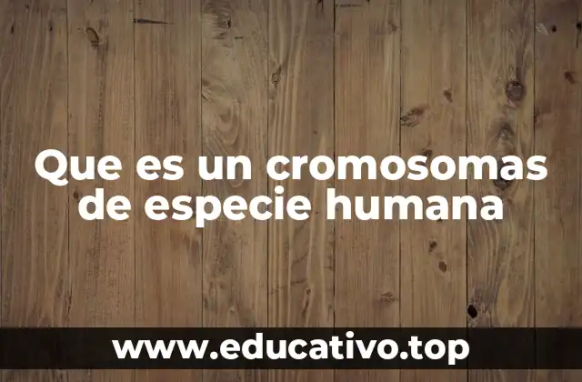Que es un cromosomas de especie humana