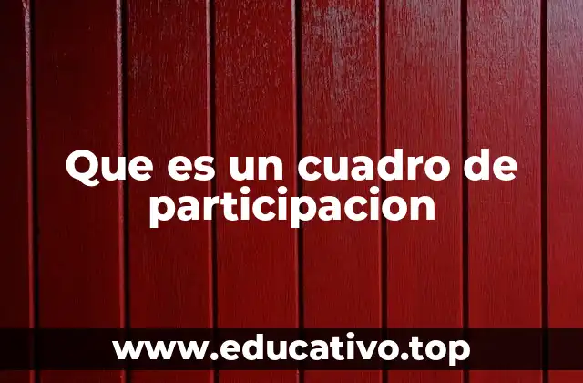 Que es un cuadro de participacion