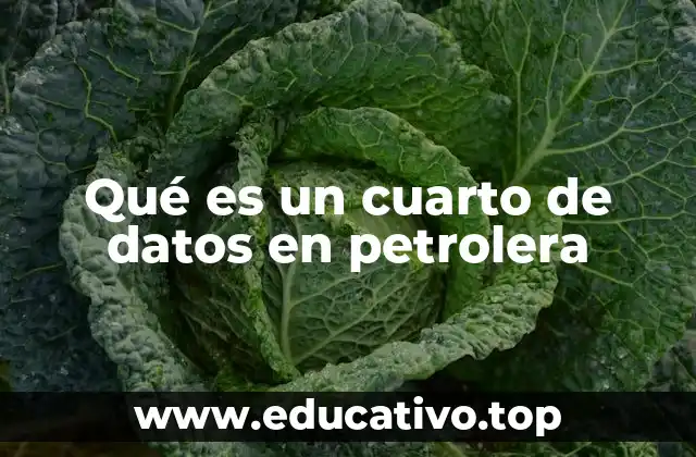 Qué es un cuarto de datos en petrolera