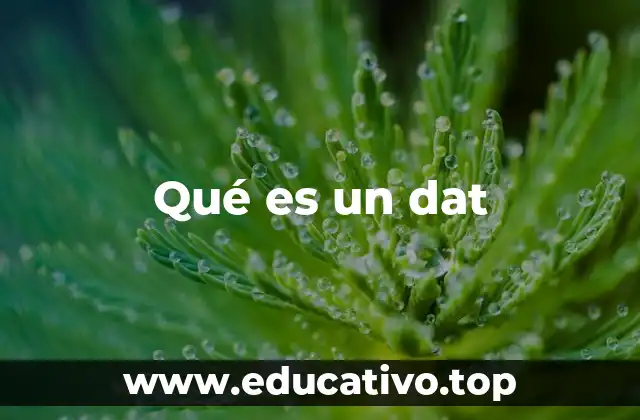 Qué es un dat