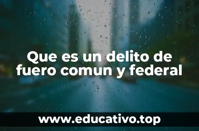 Que es un delito de fuero comun y federal