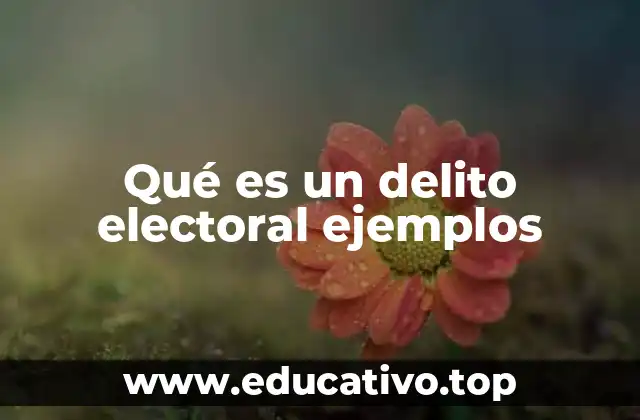 Qué es un delito electoral ejemplos