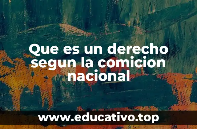 El rol de las comisiones nacionales en la protección de los derechos