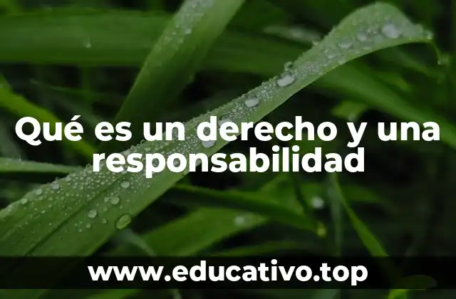 Qué es un derecho y una responsabilidad