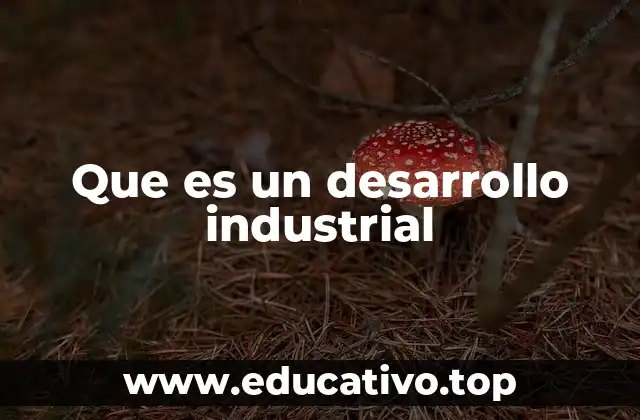 Que es un desarrollo industrial