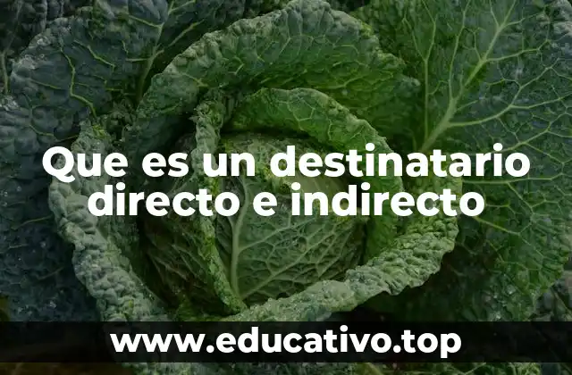 Que es un destinatario directo e indirecto