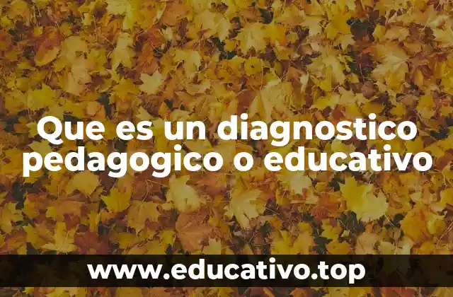 Que es un diagnostico pedagogico o educativo