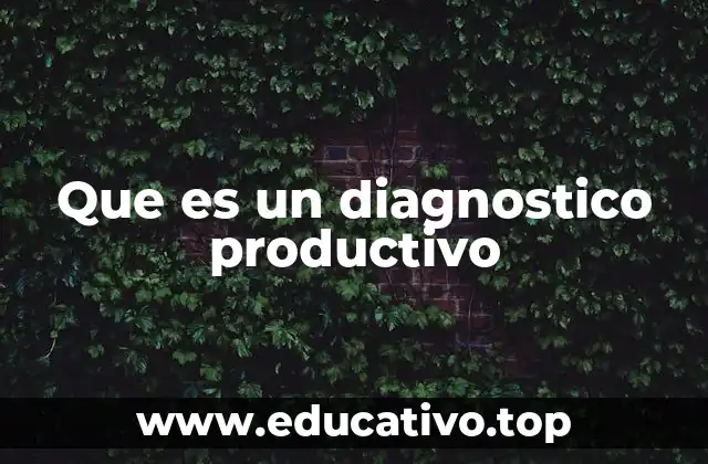 Que es un diagnostico productivo