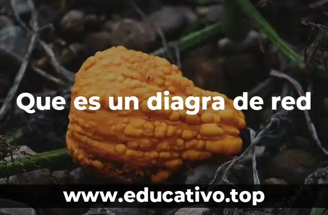 ¿Cómo se utiliza un diagrama de red en la gestión de sistemas informáticos?