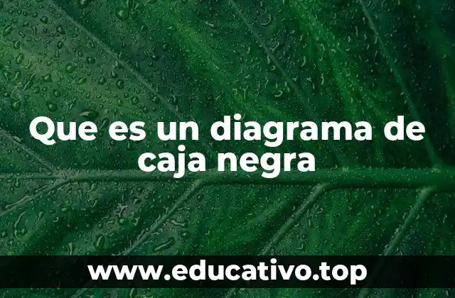 Que es un diagrama de caja negra