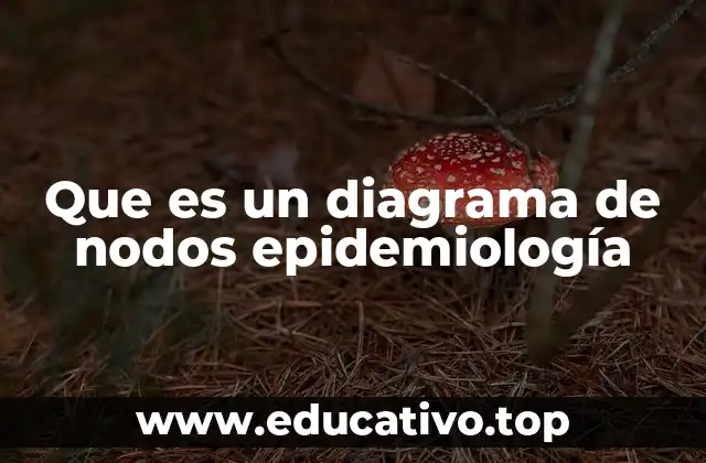 Que es un diagrama de nodos epidemiología