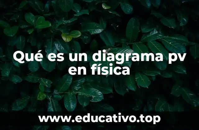 Qué es un diagrama pv en física