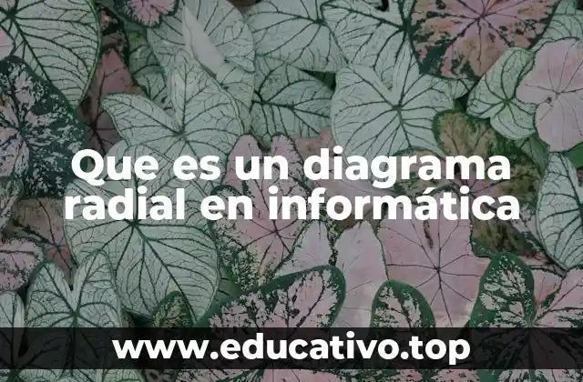 Que es un diagrama radial en informática