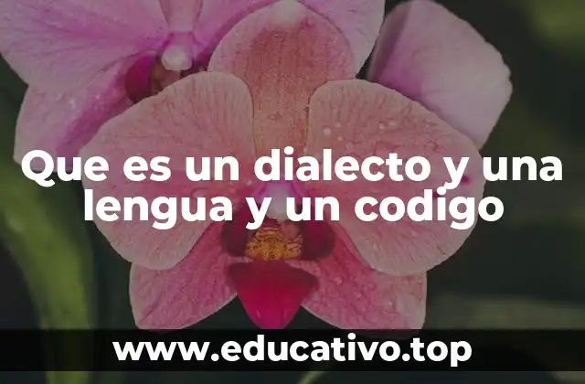 Que es un dialecto y una lengua y un codigo