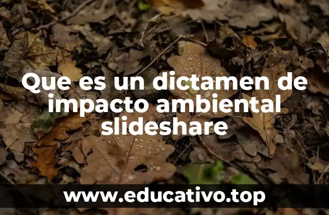 Que es un dictamen de impacto ambiental slideshare