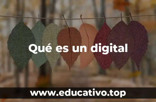 Qué es un digital