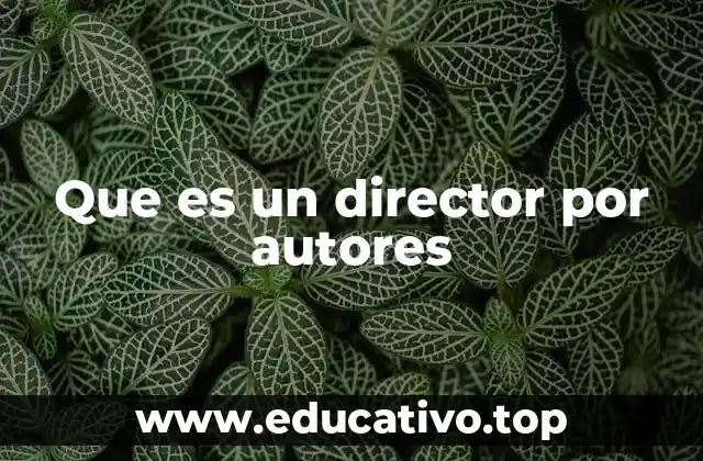 Que es un director por autores