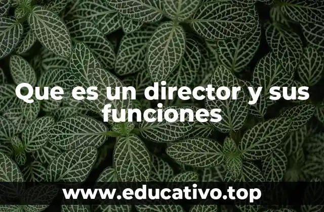 Que es un director y sus funciones