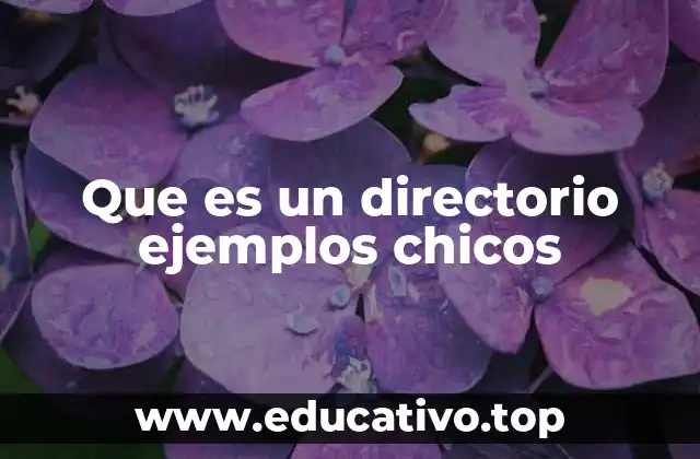 Que es un directorio ejemplos chicos