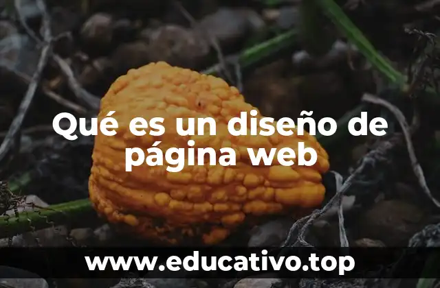 Qué es un diseño de página web